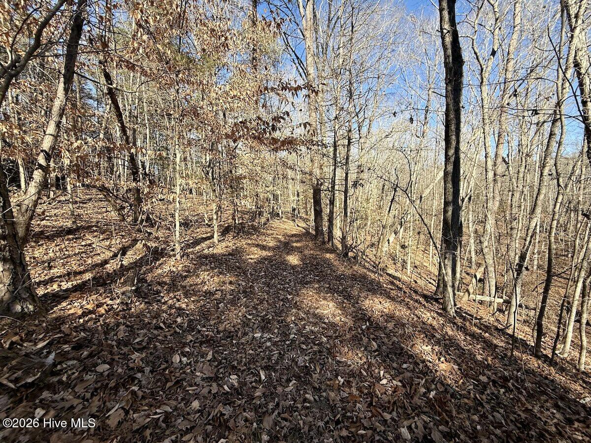 666 Solomon Road Property Photo 20