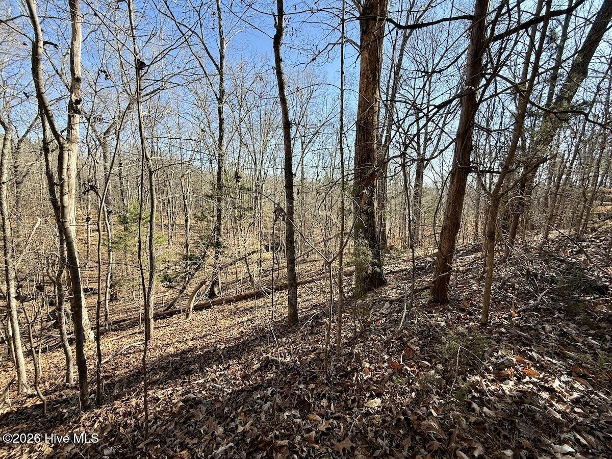 666 Solomon Road Property Photo 21