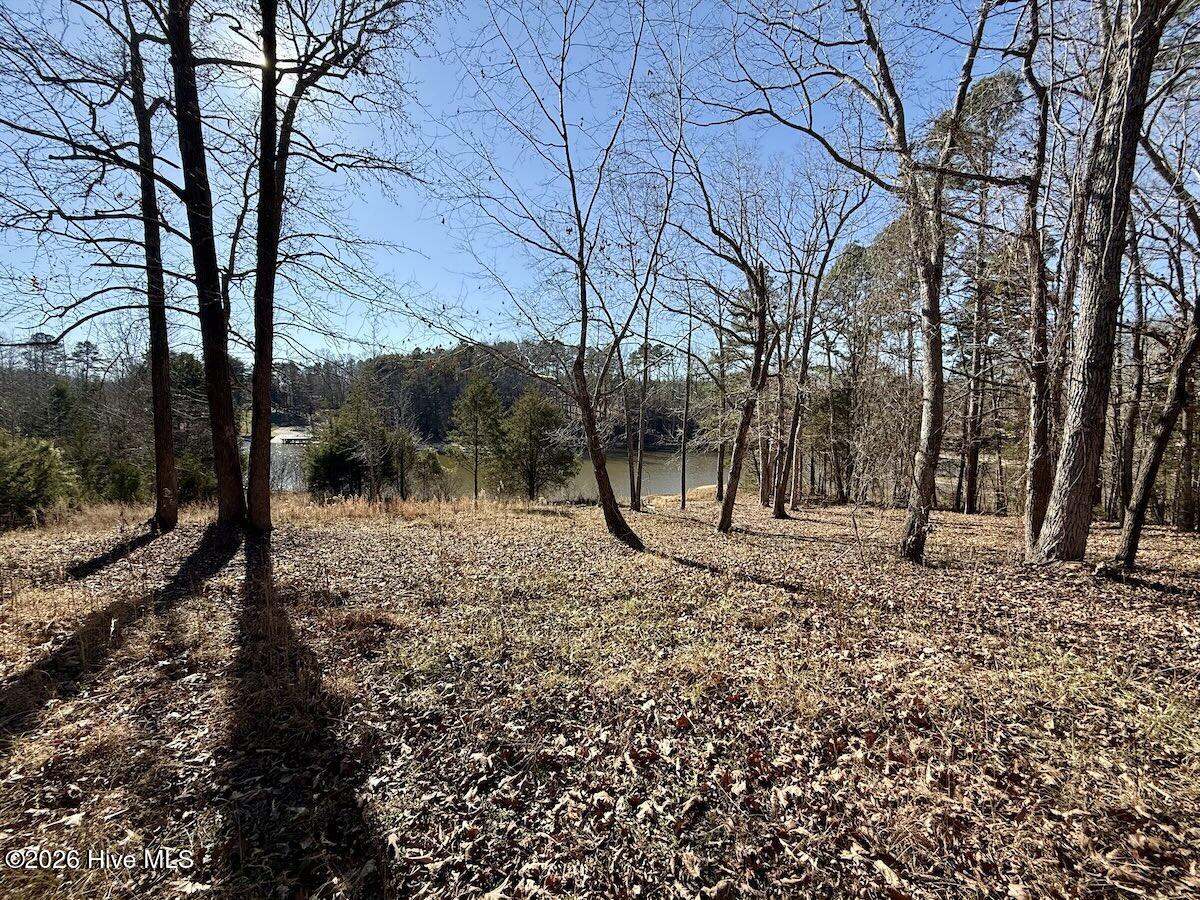 666 Solomon Road Property Photo 22