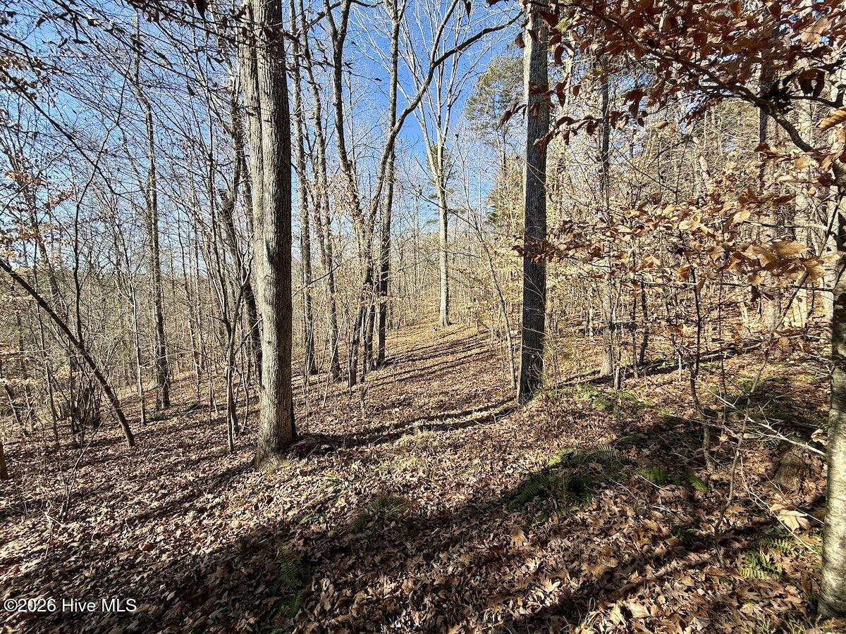666 Solomon Road Property Photo 26