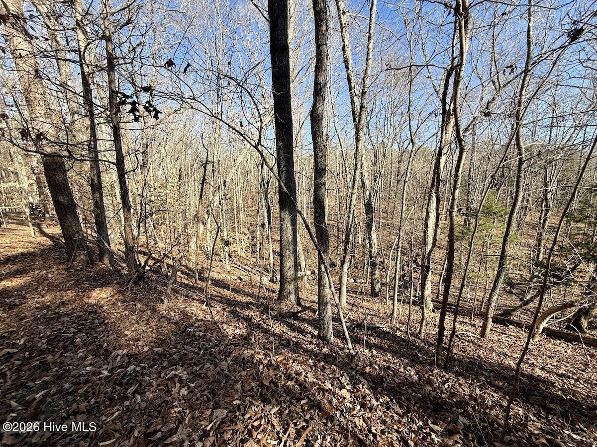 666 Solomon Road Property Photo 28