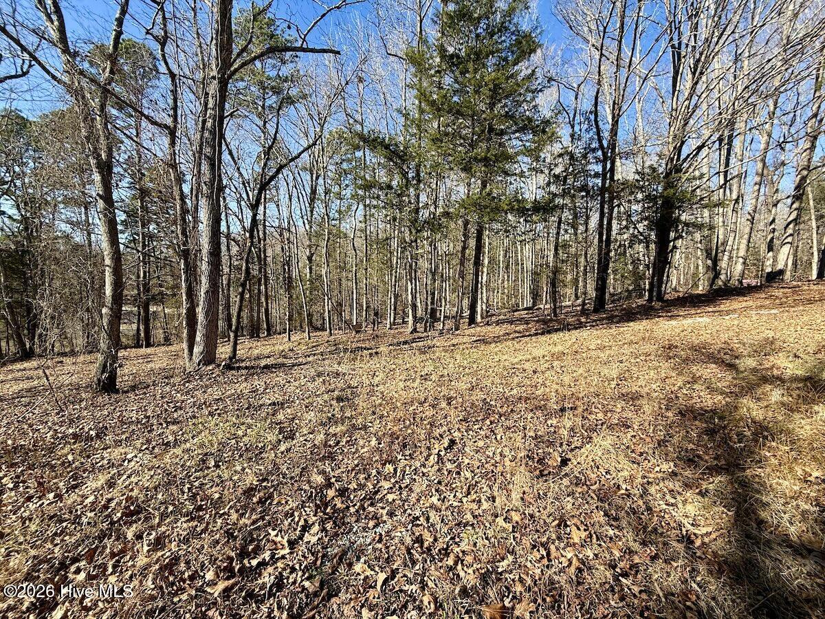 666 Solomon Road Property Photo 30