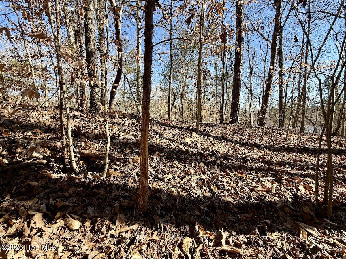 666 Solomon Road Property Photo 39