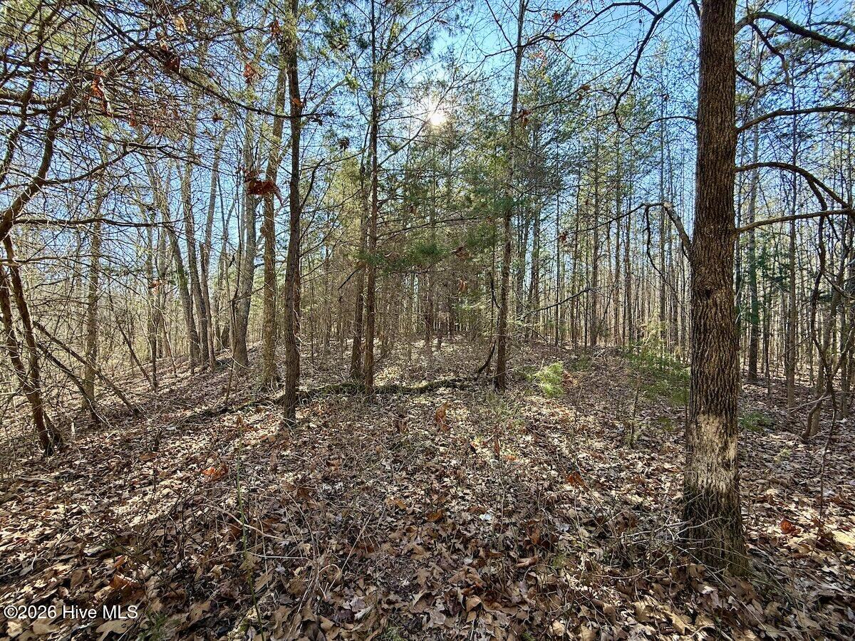 666 Solomon Road Property Photo 43