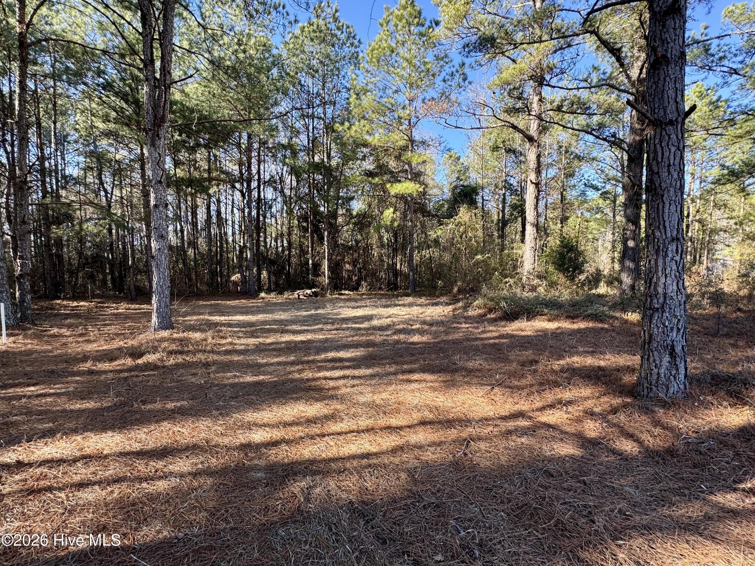 Tbd Nc 83 Hwy Property Photo 6