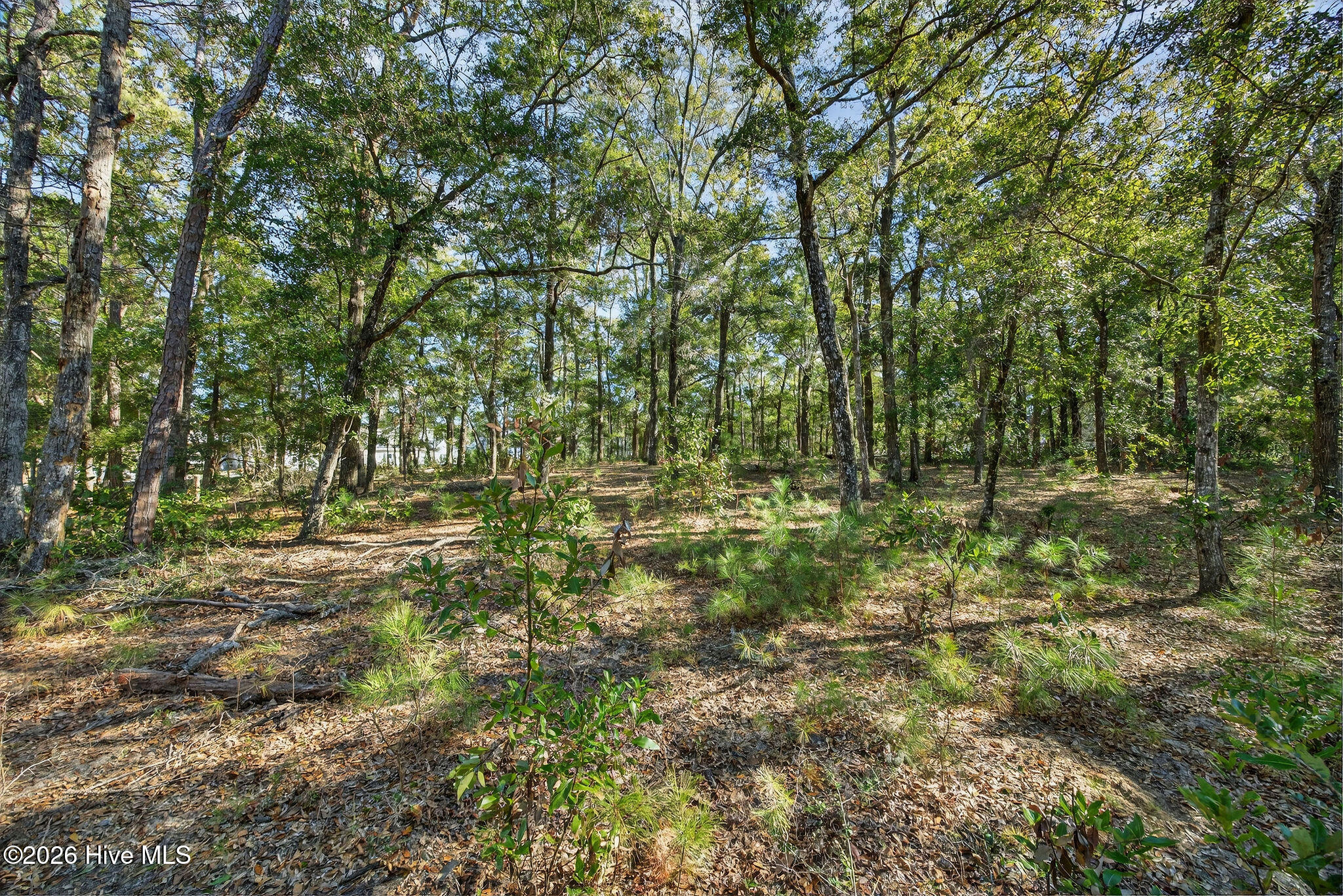 3326 Four Water View Sw Property Photo 12