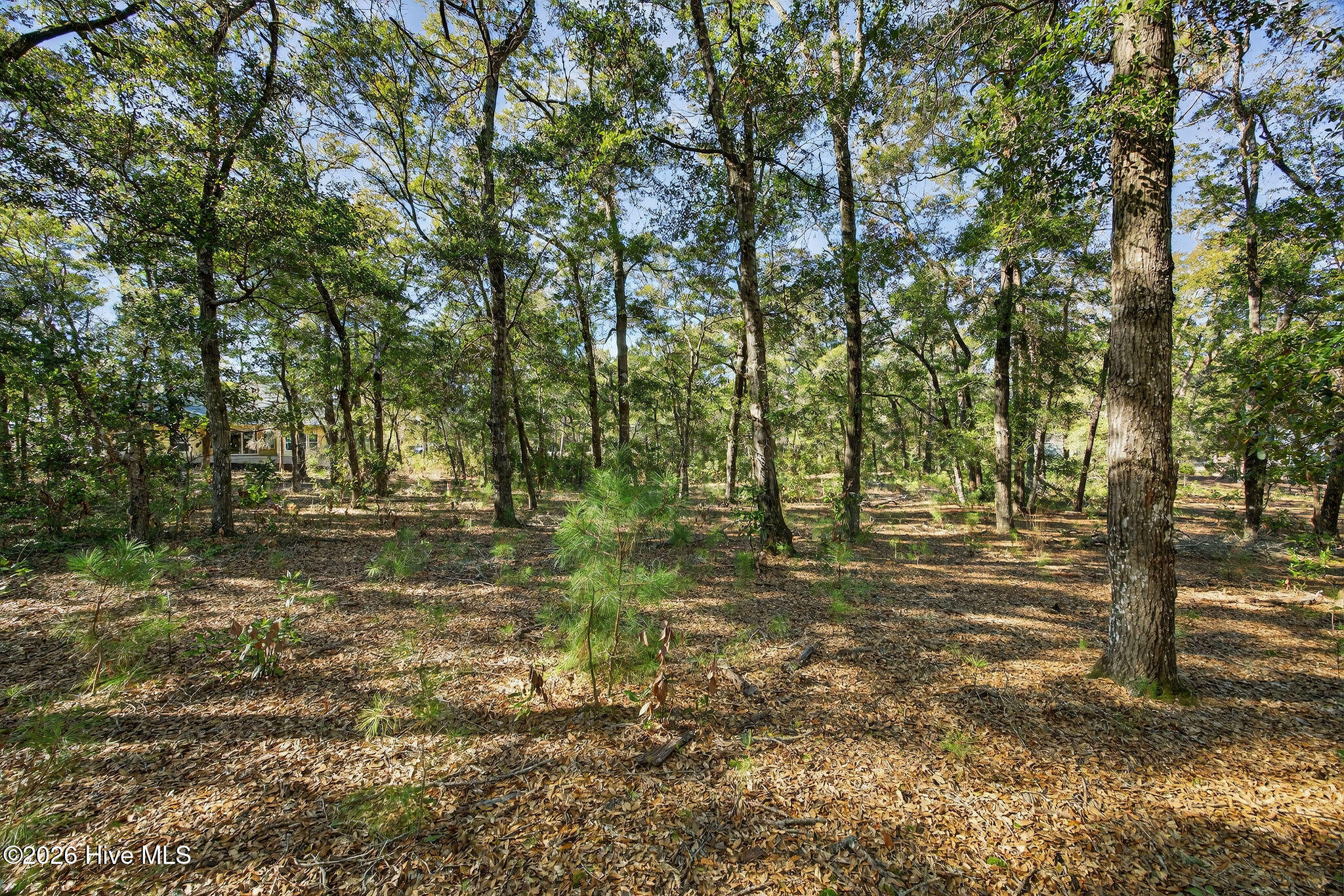 3326 Four Water View Sw Property Photo 13