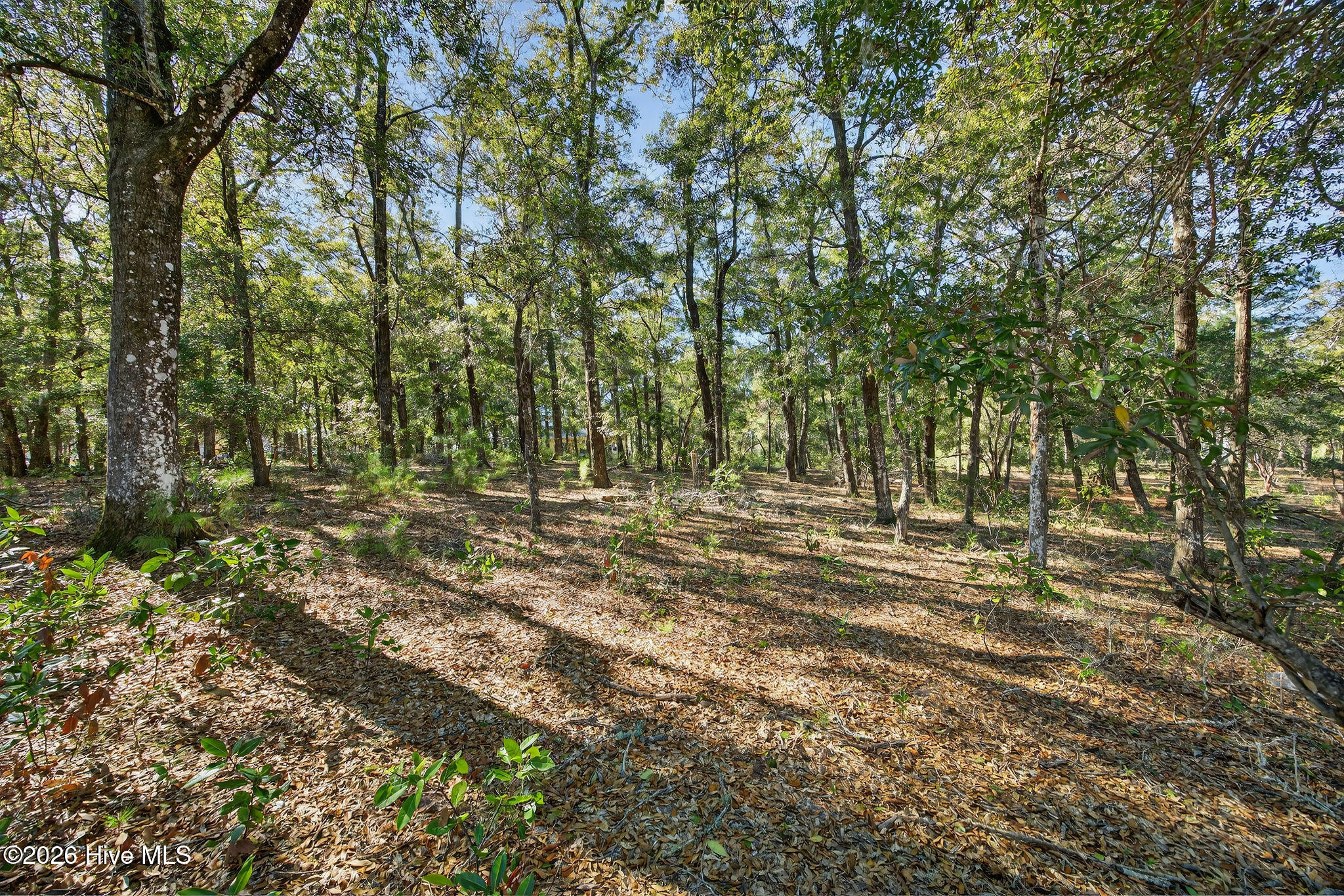 3326 Four Water View Sw Property Photo 14