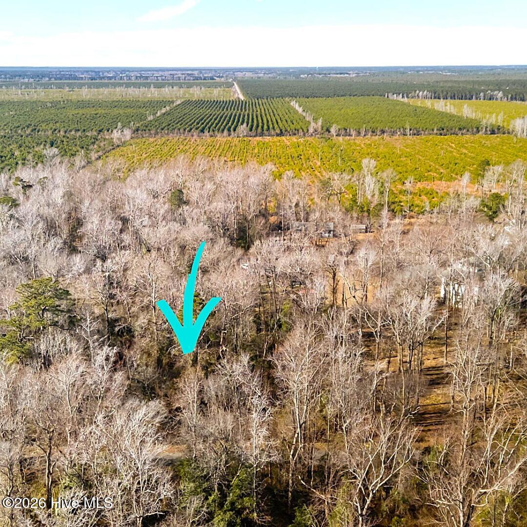 107 Tradewinds Road Property Photo 4