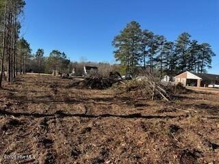 Tbd Pope Lane Property Photo 4