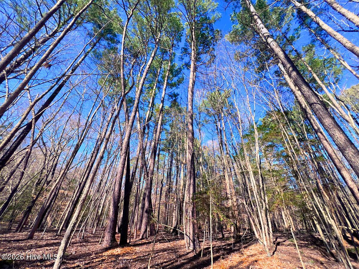 0 Nc 98 Highway Property Photo 1