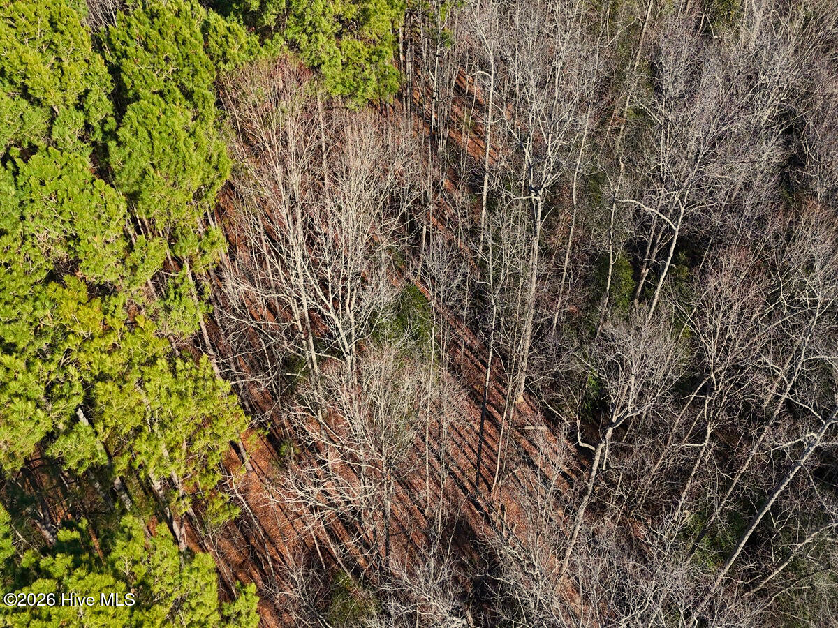 0 Nc 98 Highway Property Photo 9