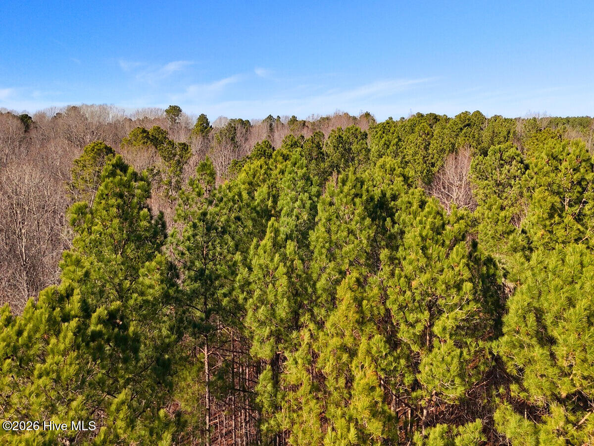 0 Nc 98 Highway Property Photo 12