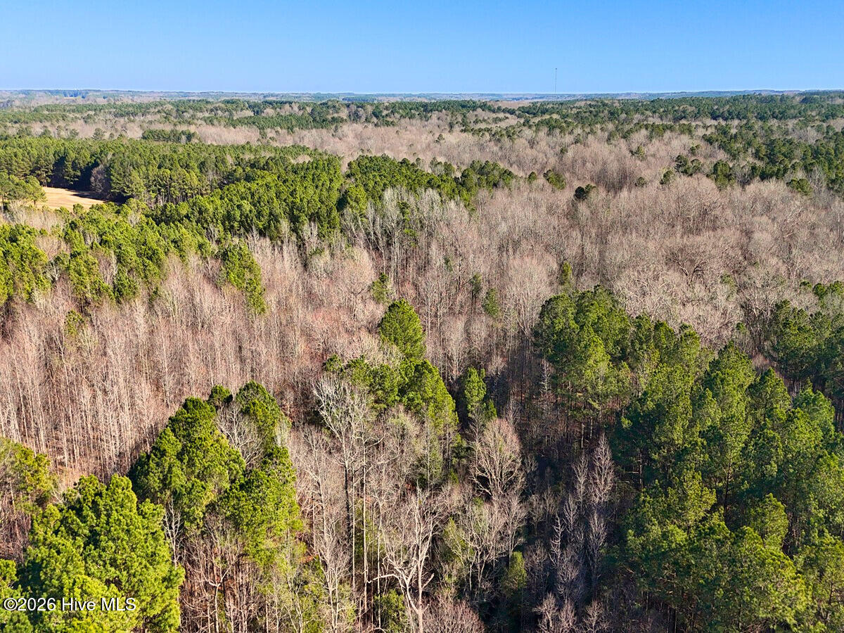 0 Nc 98 Highway Property Photo 14