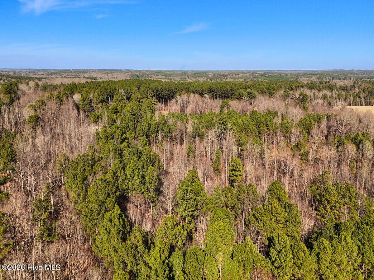 0 Nc 98 Highway Property Photo 15