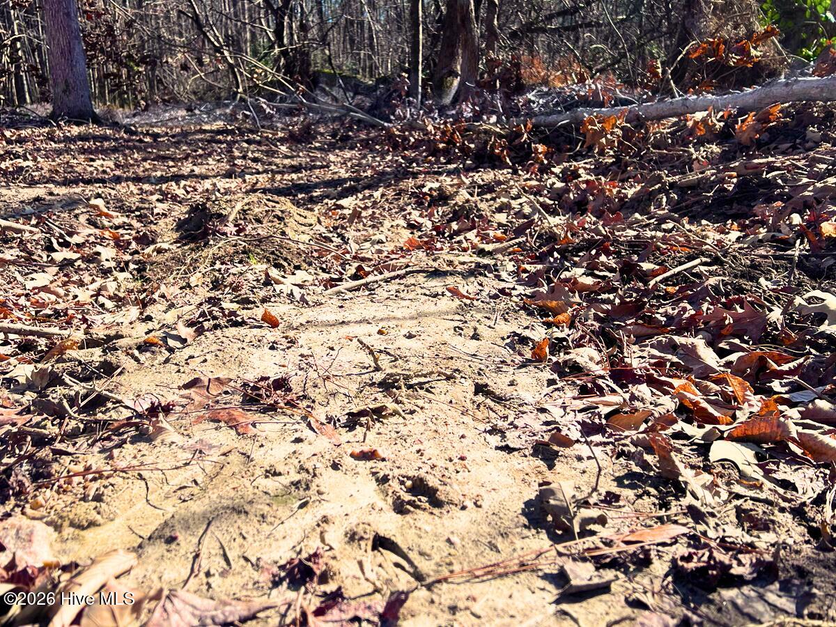 0 Nc 98 Highway Property Photo 16