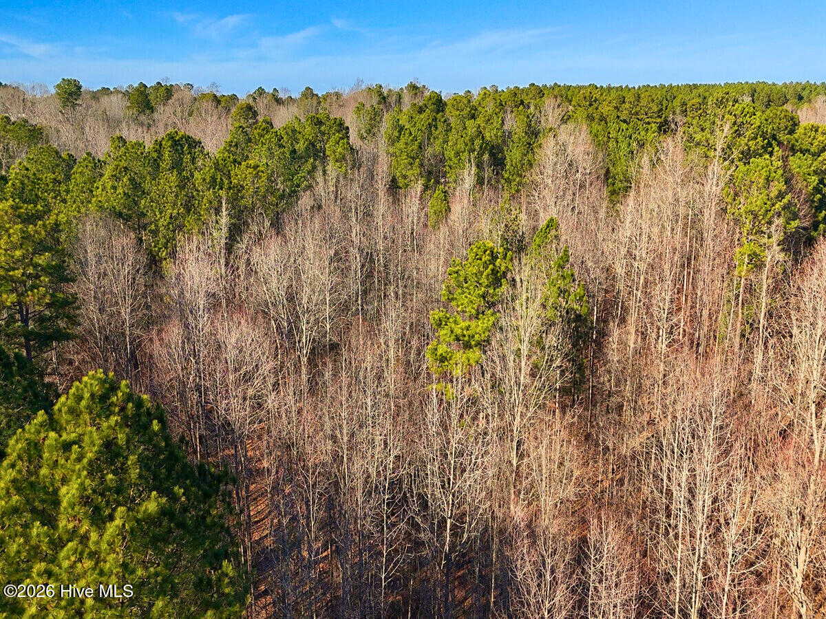 0 Nc 98 Highway Property Photo 21