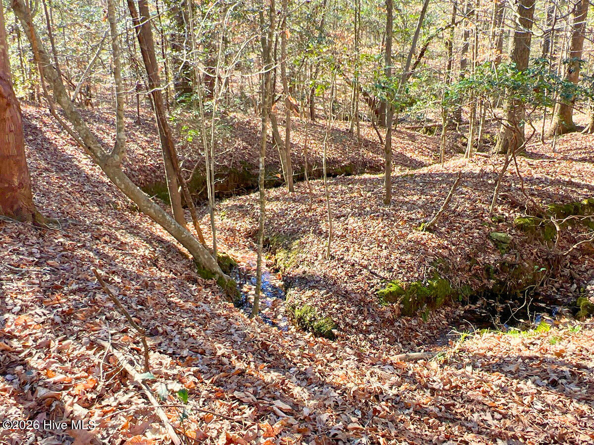 0 Nc 98 Highway Property Photo 23