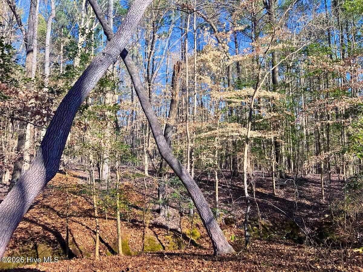 0 Nc 98 Highway Property Photo 25
