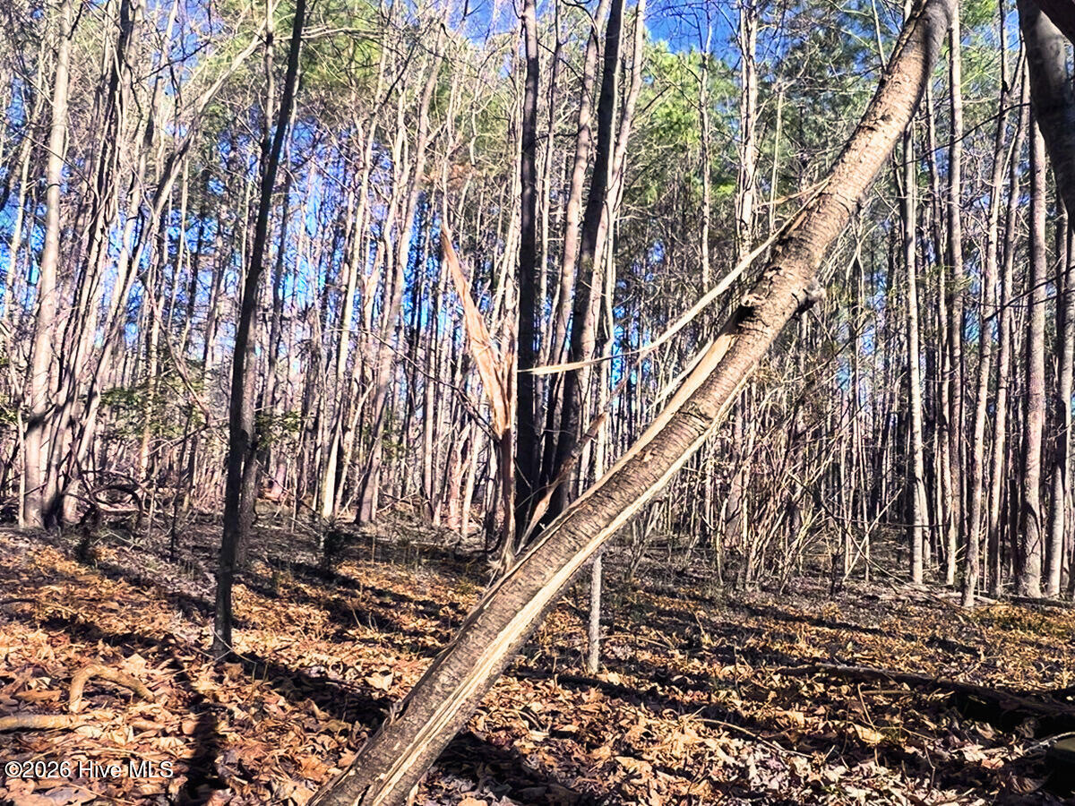 0 Nc 98 Highway Property Photo 26