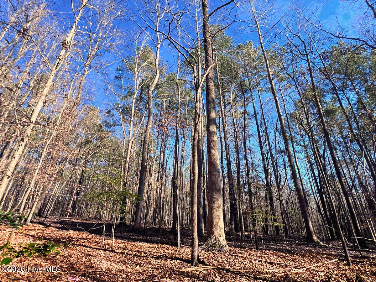 0 Nc 98 Highway Property Photo 30