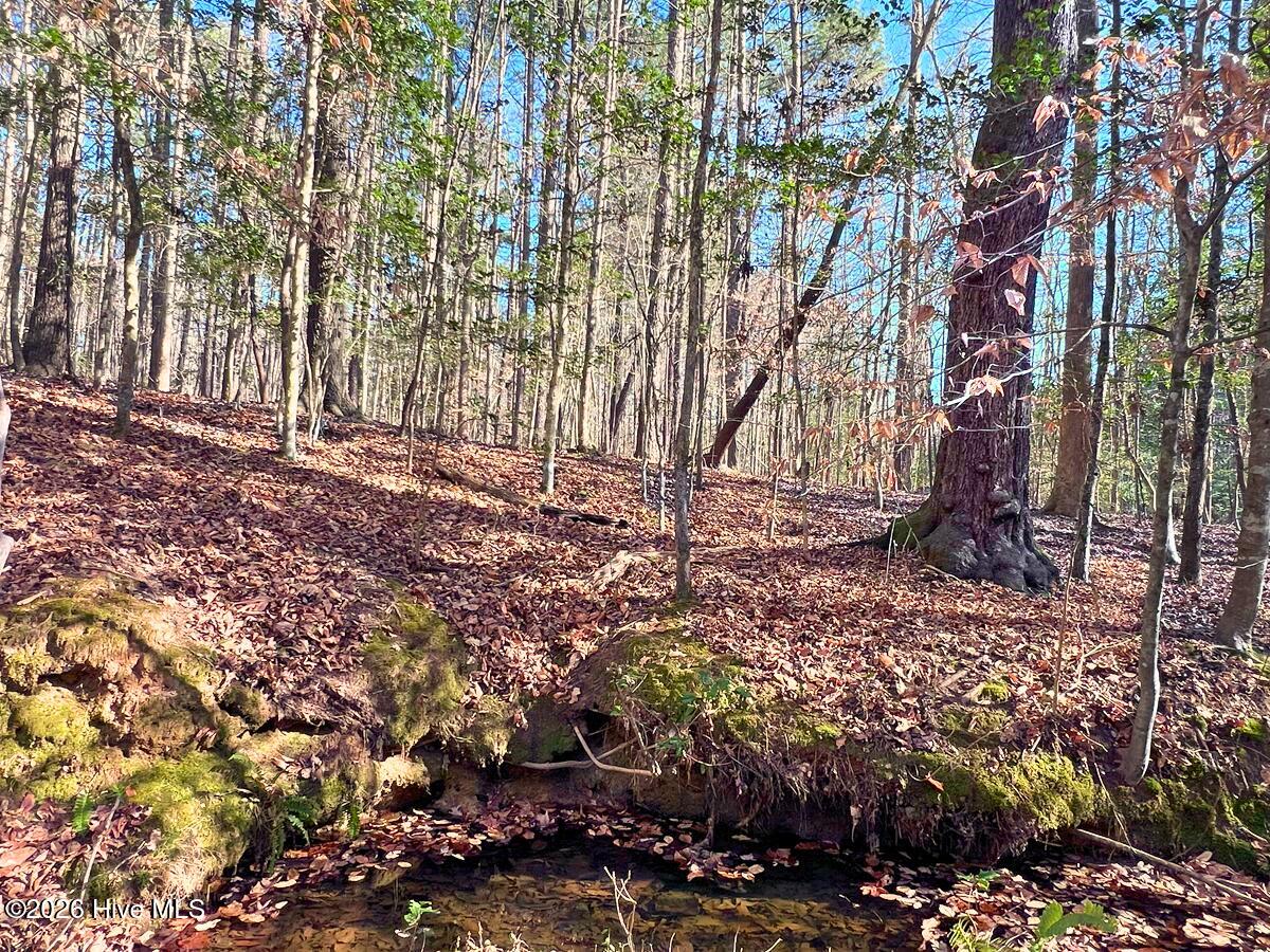 0 Nc 98 Highway Property Photo 31