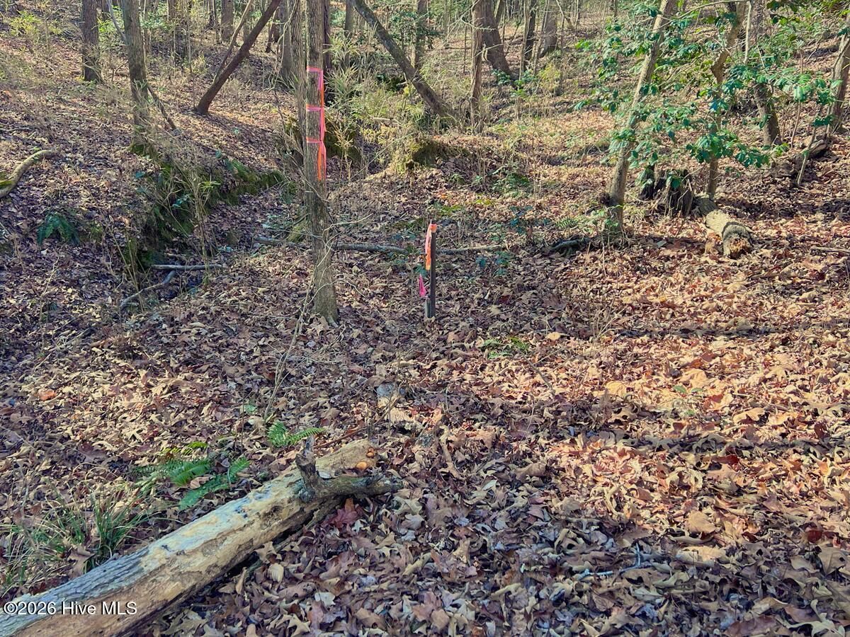 0 Nc 98 Highway Property Photo 32