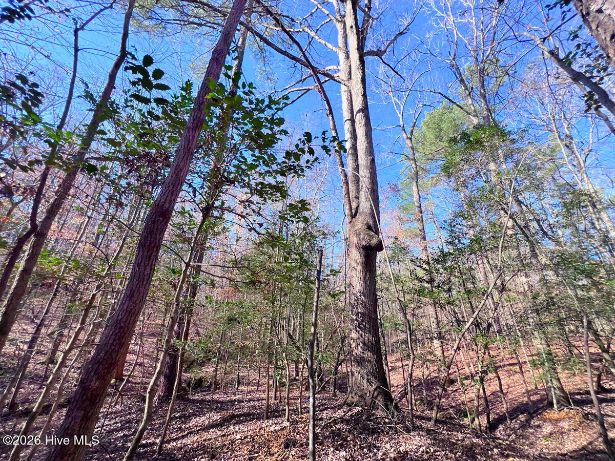0 Nc 98 Highway Property Photo 34