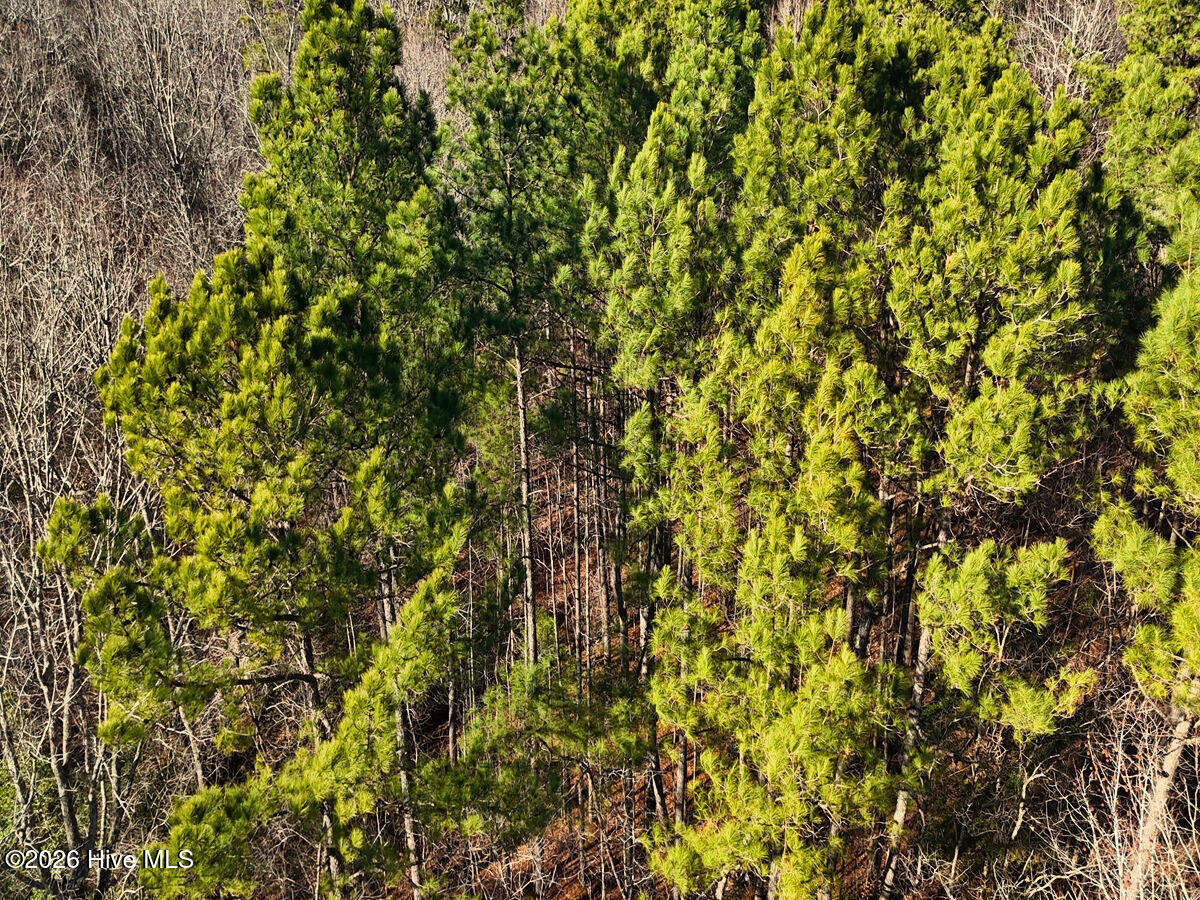0 Nc 98 Highway Property Photo 35