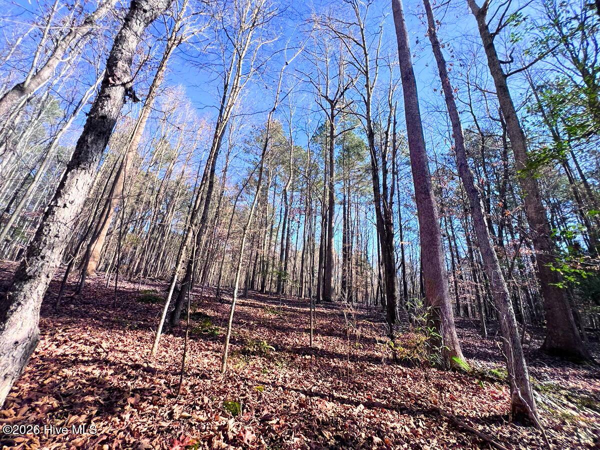 0 Nc 98 Highway Property Photo 37