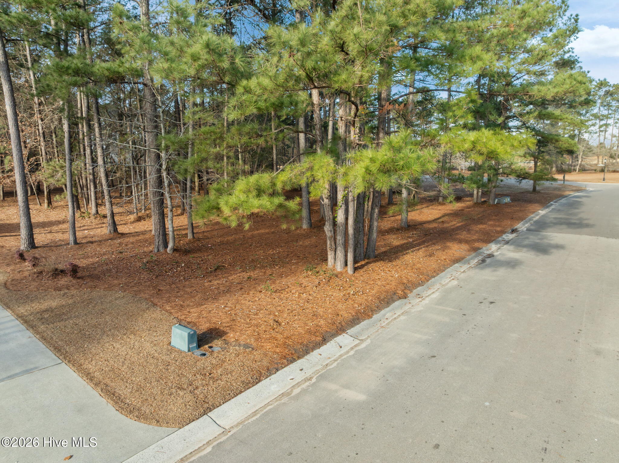 109 42 Pine Ridge Drive Property Photo 6