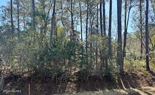 3363 Portside Drive Sw Property Photo 1
