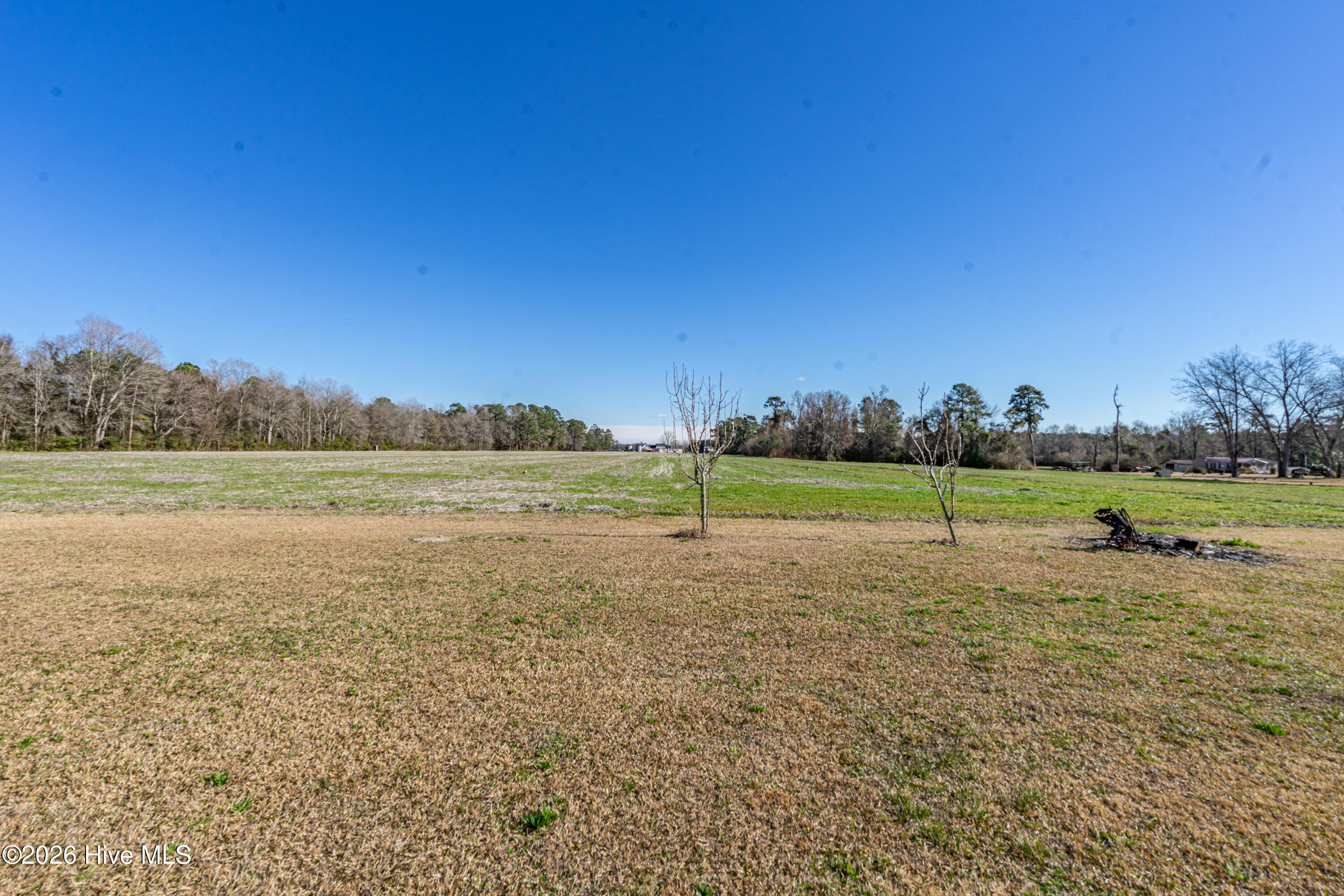 852 Bug Hill Road Property Photo 13