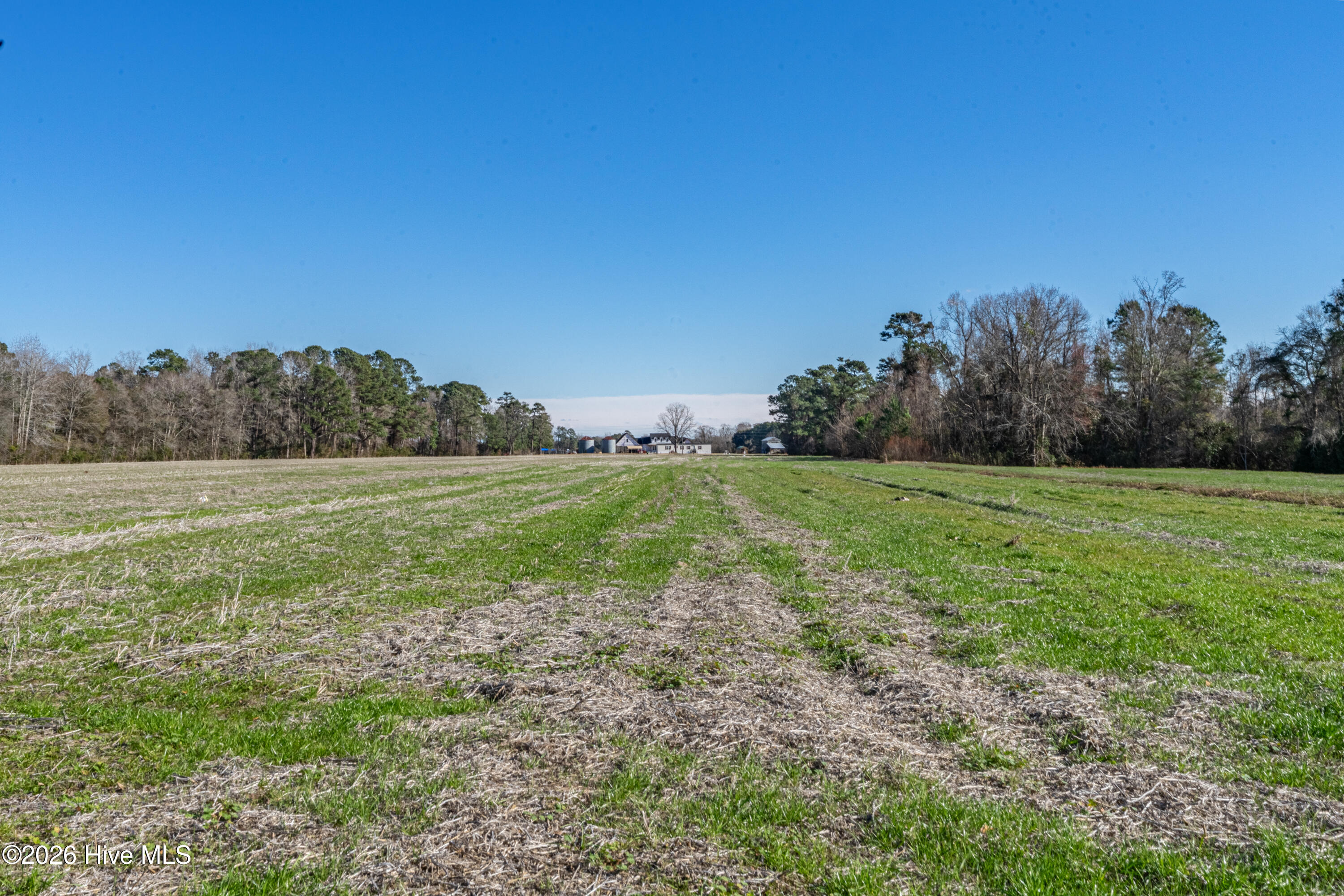 852 Bug Hill Road Property Photo 17