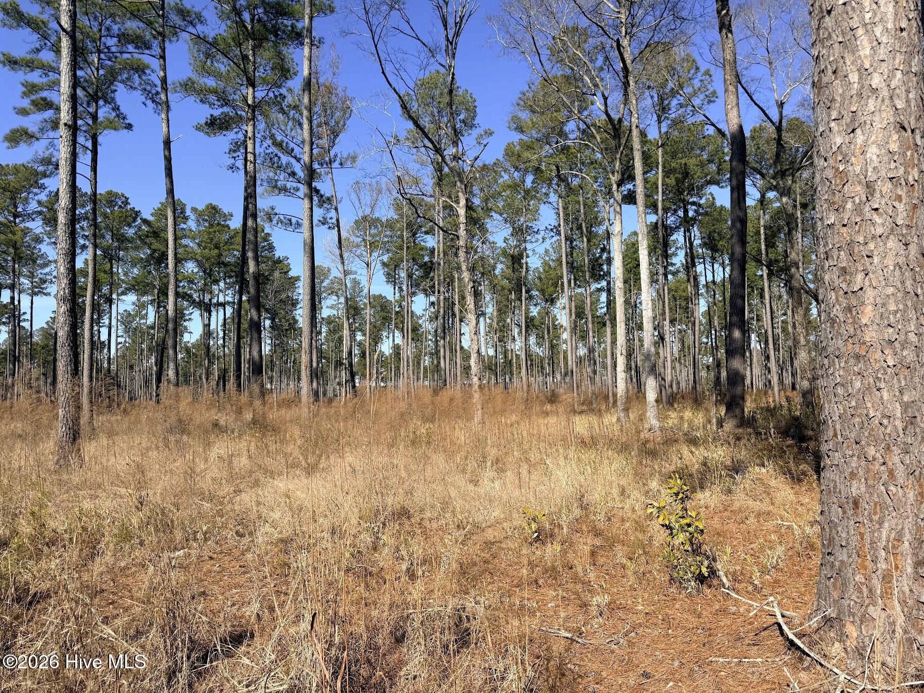 0 Sr 1119 Off Property Photo 2