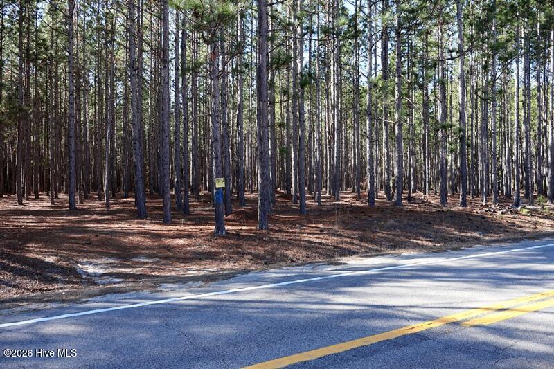 Tbd 4 Stuarts Mill Road Property Photo 3