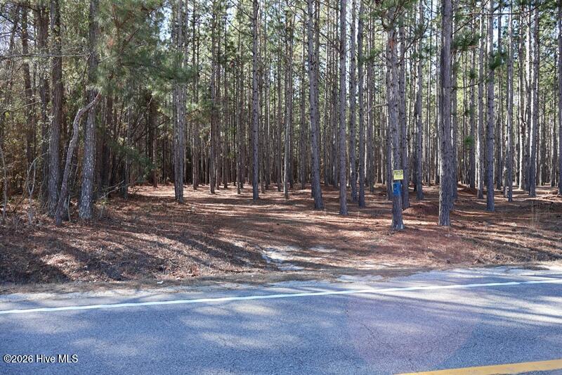 Tbd 4 Stuarts Mill Road Property Photo 5