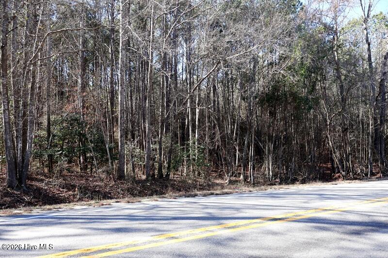 Tbd 5 Nc Hwy 130 Road Property Photo 5