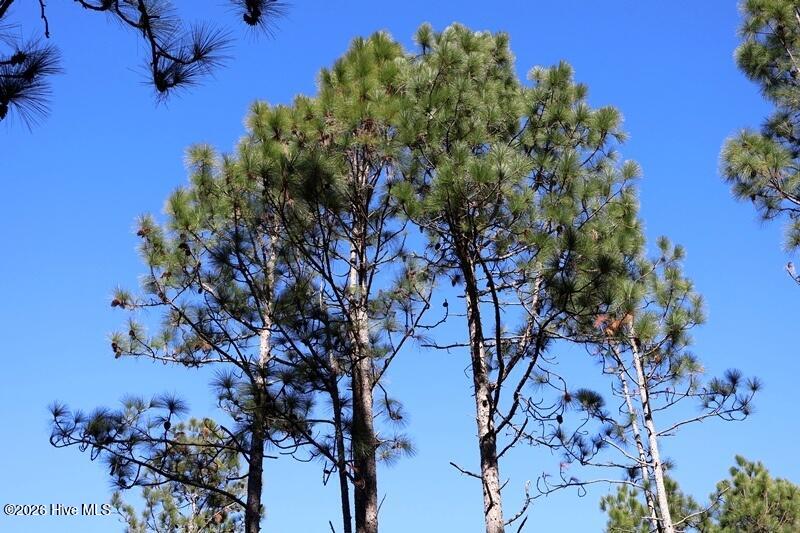 Tbd 5 Nc Hwy 130 Road Property Photo 6