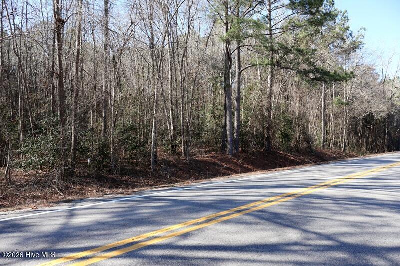 Tbd 5 Nc Hwy 130 Road Property Photo 8