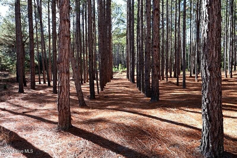 Tbd 6 Nc Hwy 130 Road Property Photo 3