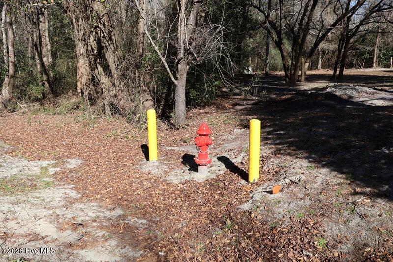 Tbd 6 Nc Hwy 130 Road Property Photo 5