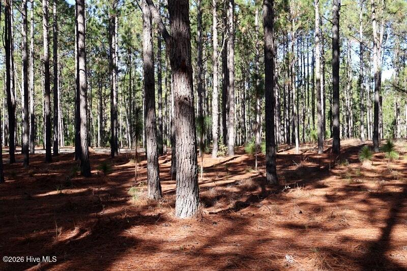 Tbd 6 Nc Hwy 130 Road Property Photo 6