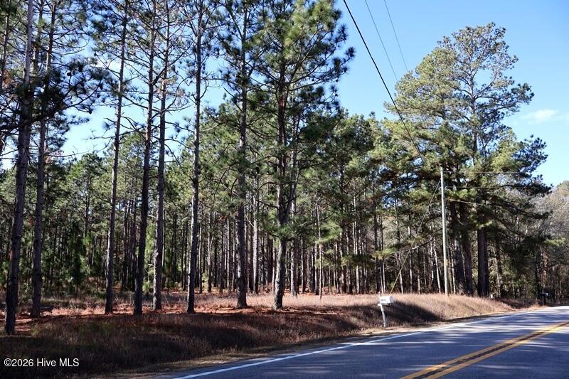Tbd 6 Nc Hwy 130 Road Property Photo 9