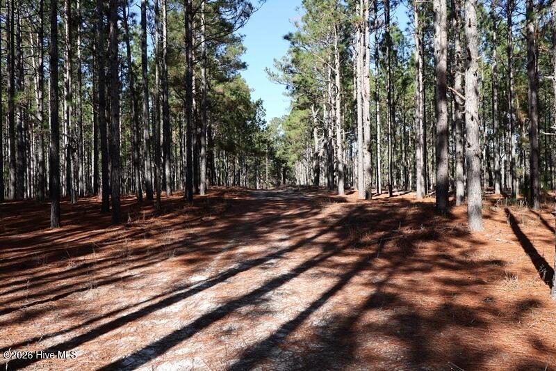 Tbd 6 Nc Hwy 130 Road Property Photo 10