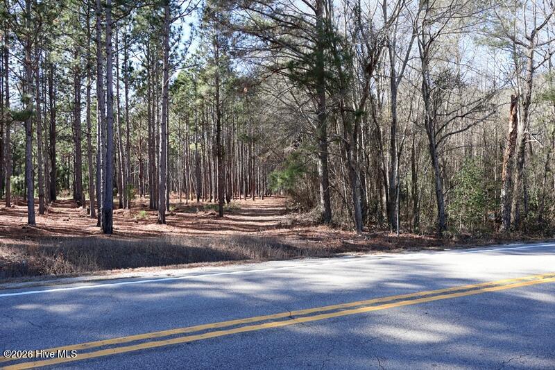 Tbd 6 Nc Hwy 130 Road Property Photo 11