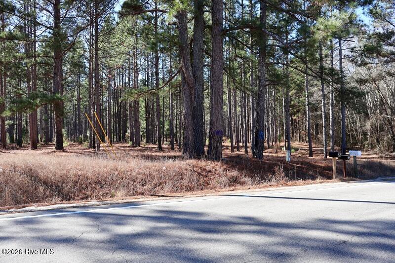 Tbd 6 Nc Hwy 130 Road Property Photo 12
