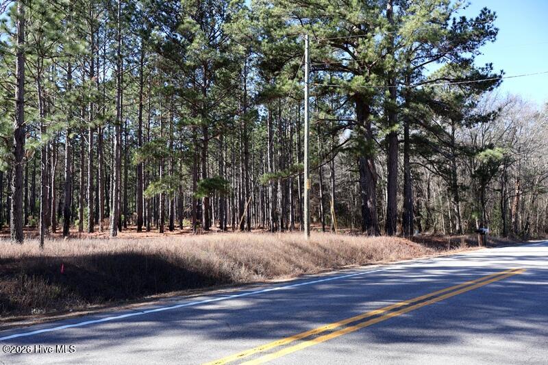 Tbd 6 Nc Hwy 130 Road Property Photo 13