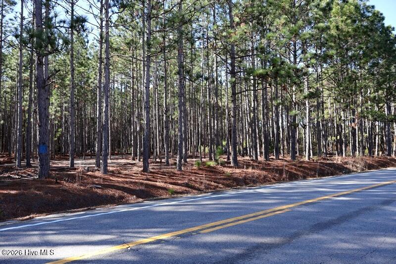 Tbd 7 Nc Hwy 130 Road Property Photo 4