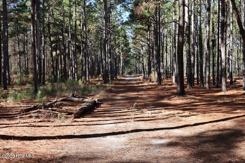 Tbd 7 Nc Hwy 130 Road Property Photo 6